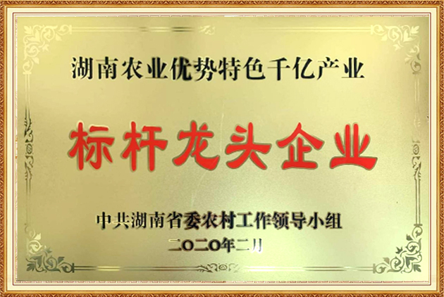 標(biāo)桿龍頭企業(yè)