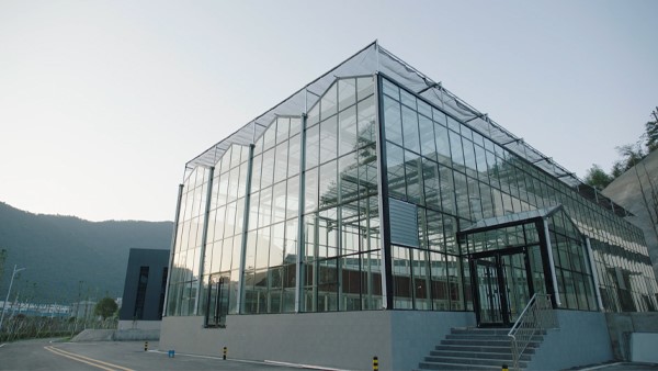 大國(guó)戰(zhàn)略博弈生物制造，合成生物企業(yè)如何把握百年機(jī)遇？