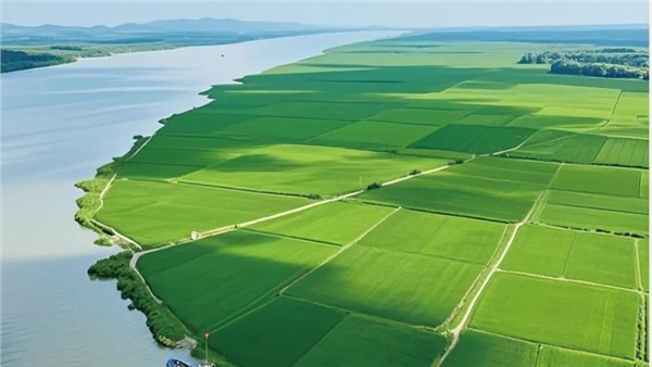 湖南省糧食和物資儲備科技活動周?？禾匚炙梗ㄙF太太）集團“食用植物油關鍵技術突破及產業(yè)創(chuàng)新發(fā)展實踐—以貴太太甘二酯山茶油為例”