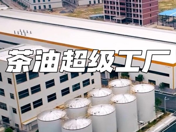 茶油超級工廠