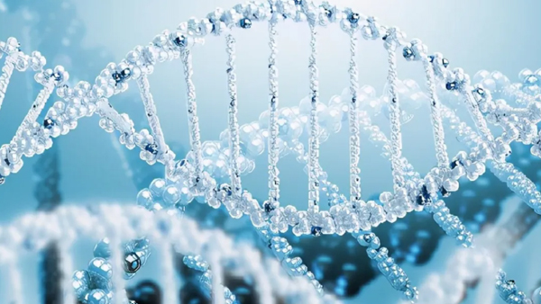 解鎖豐收密碼：神奇的生物酶制劑 